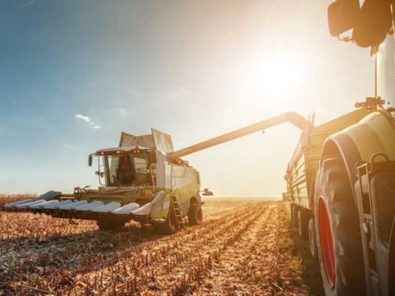 Agriculture Agriculture Industry